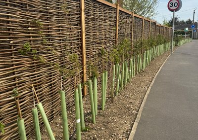 Hazel hurdle fencing panels along a roadside